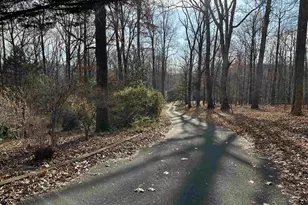 423 Foothills Dr, Nellysford, VA 22958 - Photo 9