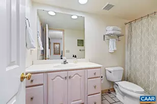 423 Foothills Dr, Nellysford, VA 22958 - Photo 47