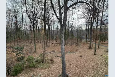 423 Foothills Dr, Nellysford, VA 22958 - Photo 61