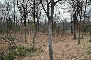 423 Foothills Dr, Nellysford, VA 22958 - Photo 61