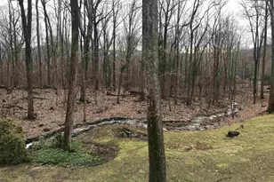 423 Foothills Dr, Nellysford, VA 22958 - Photo 59