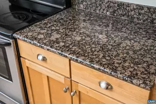 1013 Linden Ave, Charlottesville, VA 22902 - Photo 11