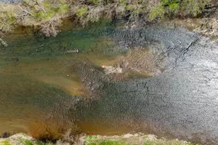 136 Wildwood Ln, Shenandoah, VA 22849 - Photo 55