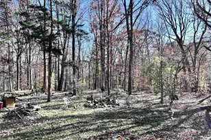 2003 Sweet Hollow Ln, Charlottesville, VA 22903 - Photo 17