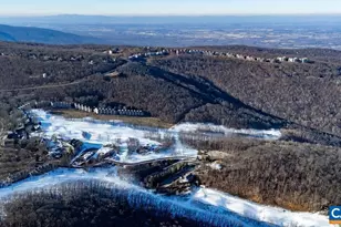 21 Tyro Ln, Wintergreen Resort, VA 22967 - Photo 43