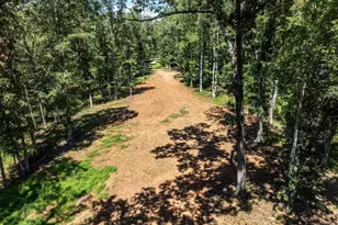 12 Langdon Woods Dr, Dyke, VA 22935 - Photo 65