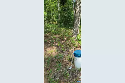 12 Langdon Woods Dr, Dyke, VA 22935 - Photo 57