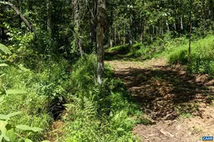 12 Langdon Woods Dr, Dyke, VA 22935 - Photo 69