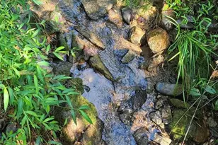 12 Langdon Woods Dr, Dyke, VA 22935 - Photo 43