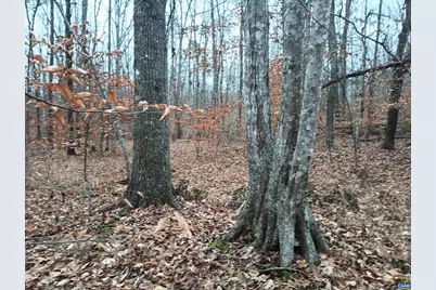 0 Axtell Rd, Scottsville, VA 24562 - Photo 13