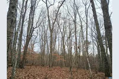 0 Axtell Rd, Scottsville, VA 24562 - Photo 3