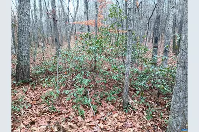 0 Axtell Rd, Scottsville, VA 24562 - Photo 7