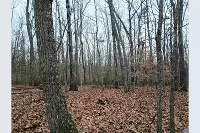 0 Axtell Rd, Scottsville, VA 24562 - Photo 15