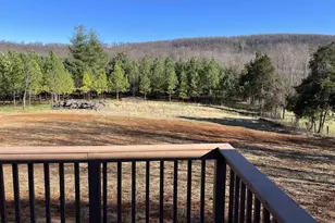 3123 Scottsville Rd, Charlottesville, VA 22902 - Photo 17