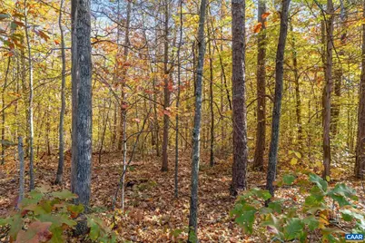 0 Dell Perkins Rd, Louisa, VA 23093 - Photo 7