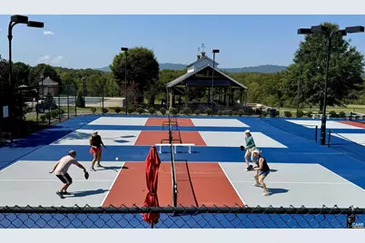 2449 Pendower Ln, Keswick, VA 22947 - Photo 63