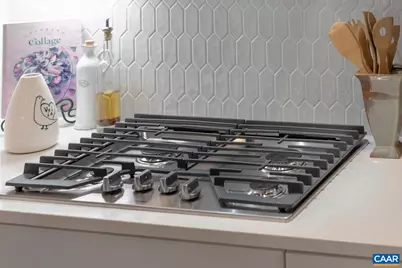 1 Decerbo Terr, Charlottesville, VA 22901 - Photo 9