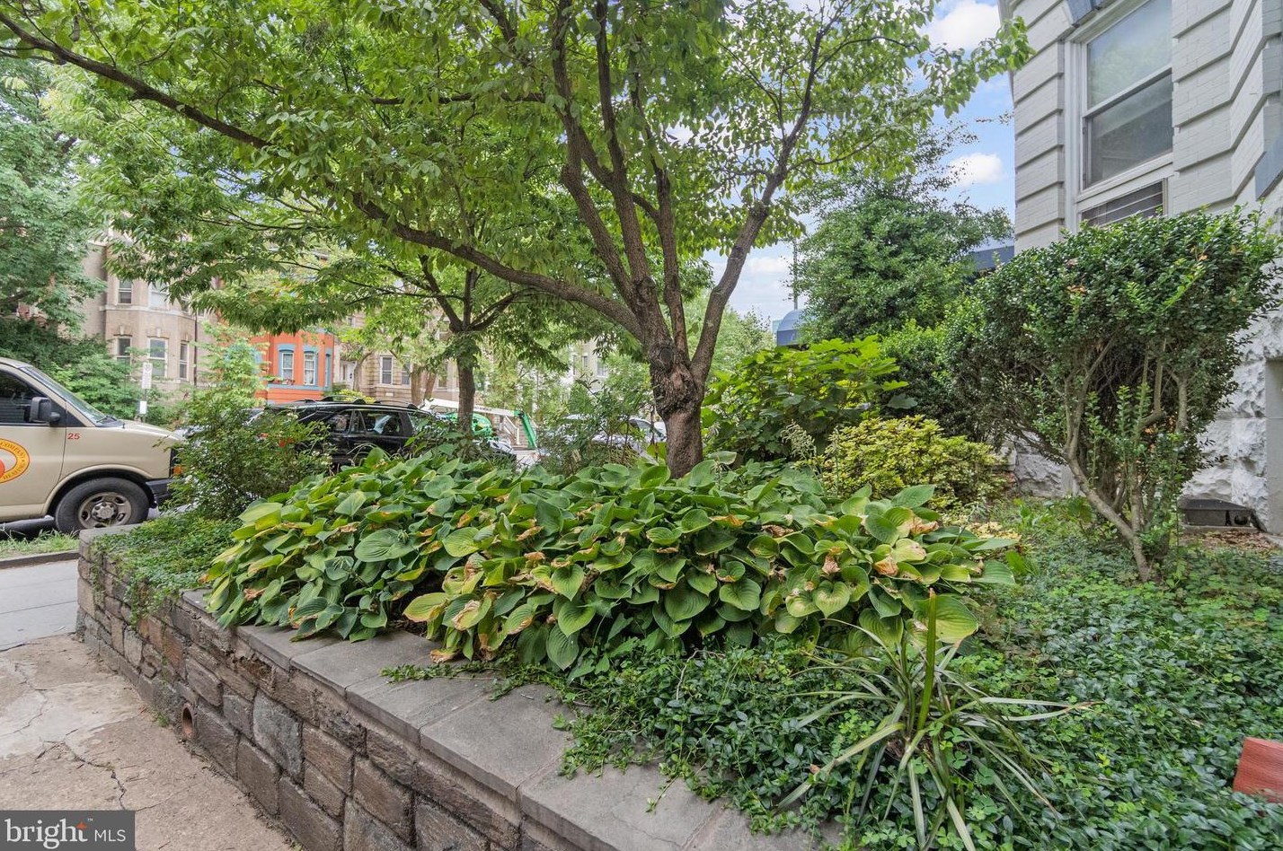 1855 Calvert St, Washington DC 20009-1966 exterior