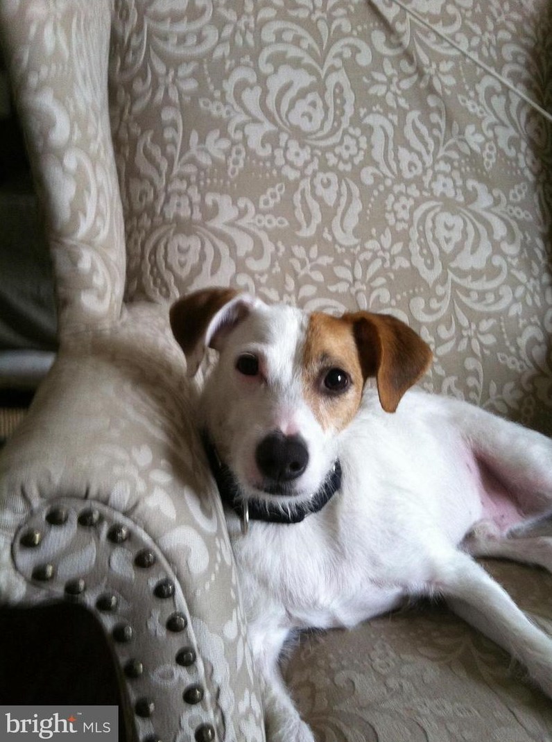 1301 Longfellow St, Washington DC 20011-3532 exterior