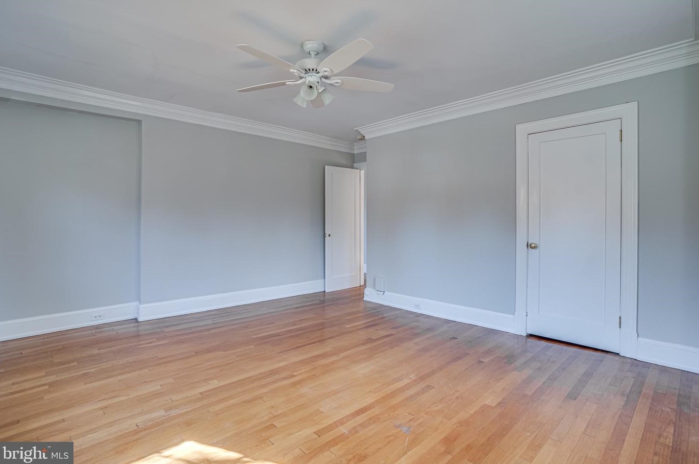 4828 Linnean Ave, Washington DC 20008-2123 exterior