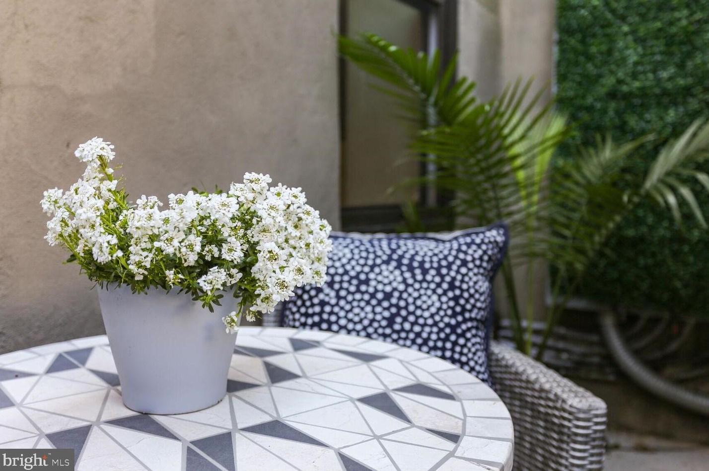 1478 Harvard St, Washington DC  20009-4610 exterior