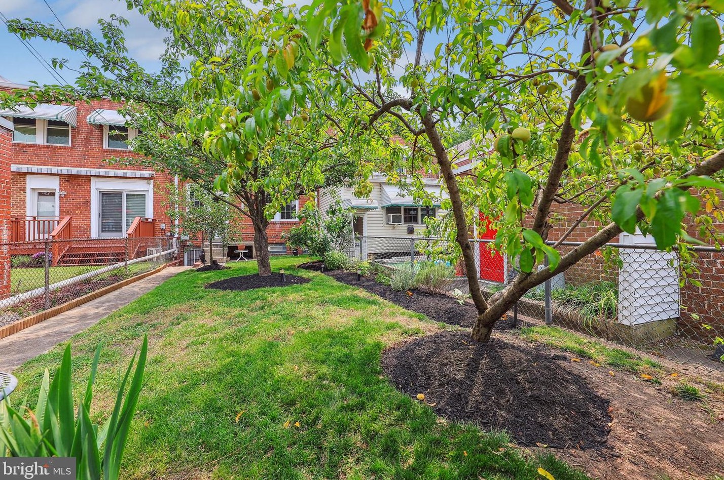 4116 10 St, Washington DC 20002-3719 exterior