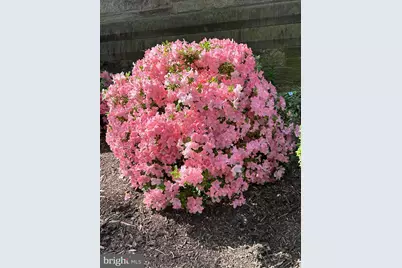 950 25th NW #814N, Washington, DC 20037 - Photo 41