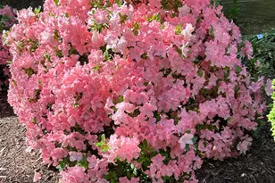 950 25th NW, Washington, DC 20037 - Photo 41