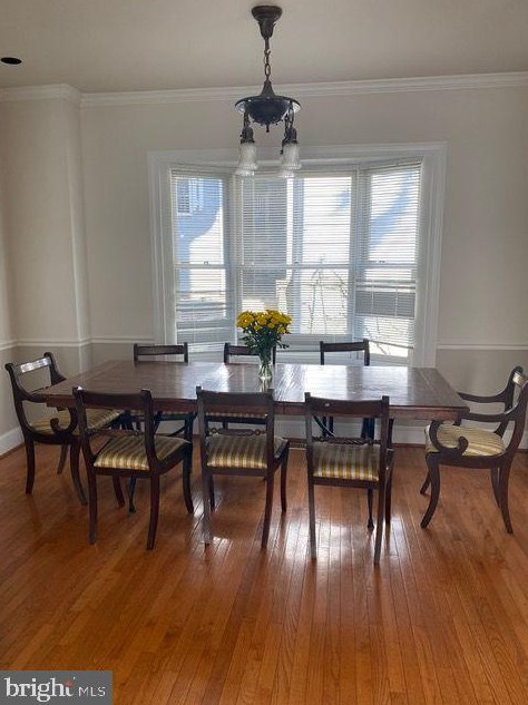 1817 47th Pl, Washington DC  20007-1910 exterior