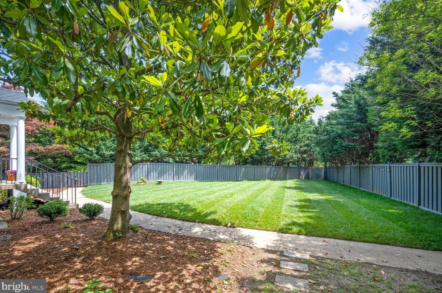 3203 Cleveland Ave, Washington DC 20008-3401 exterior