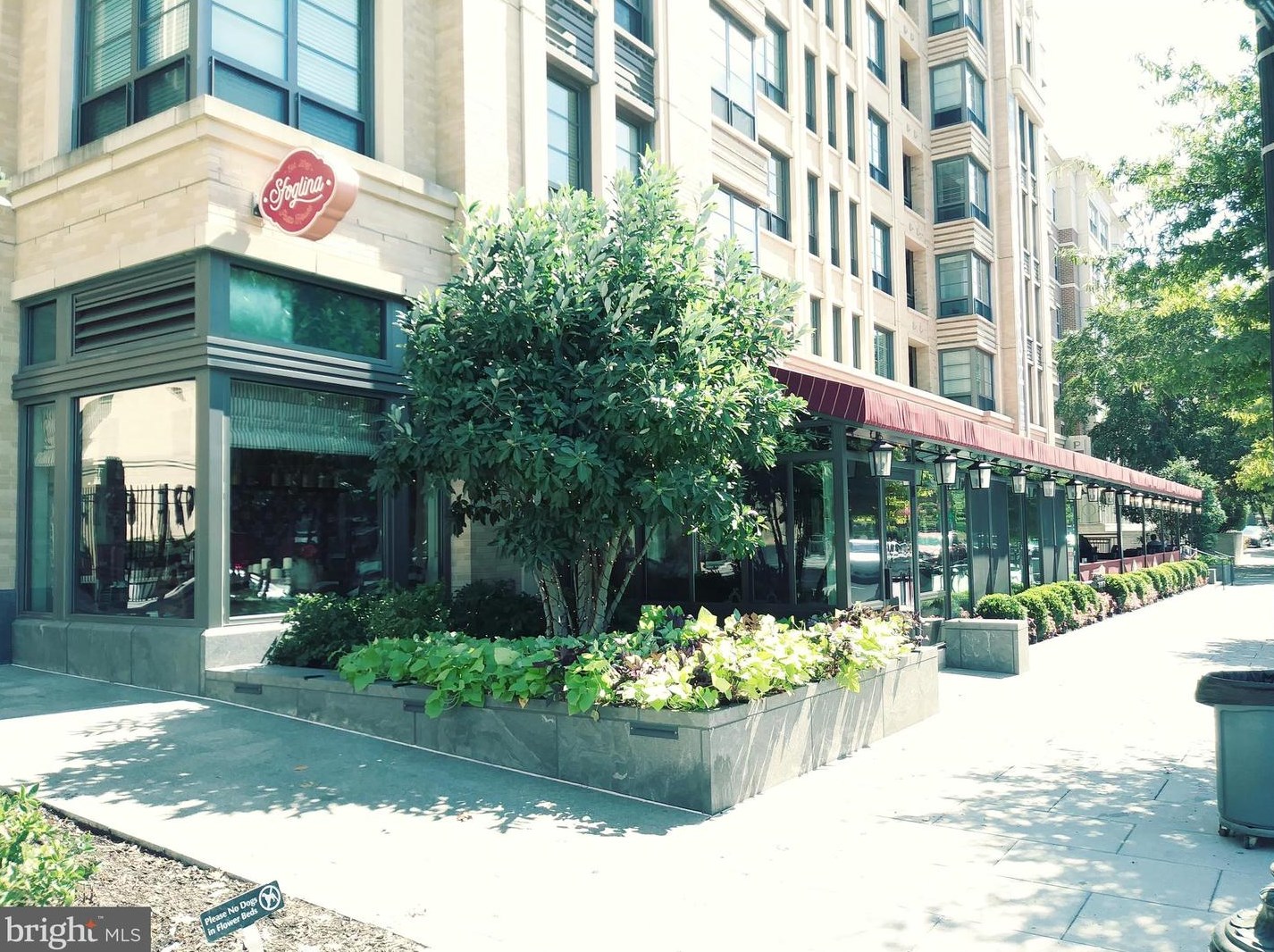 4007 Connecticut Ave, Washington DC  20008-1139 exterior