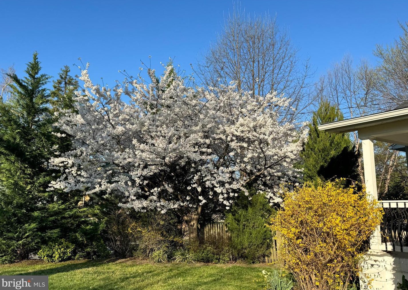 2900 Carlton Ave, Washington DC 20018-2615 exterior