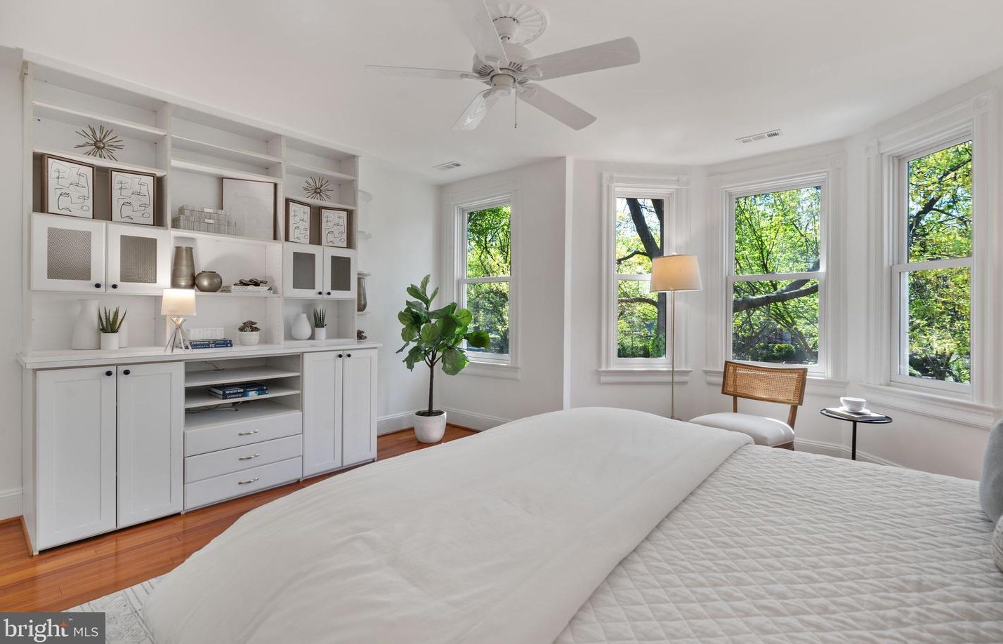 318 Carolina Ave, Washington DC 20003-2004 exterior