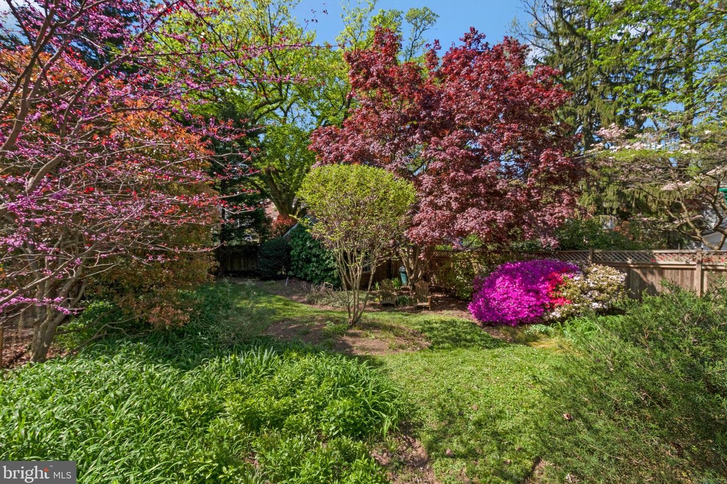 3510 Livingston St, Washington DC  20015-1758 exterior