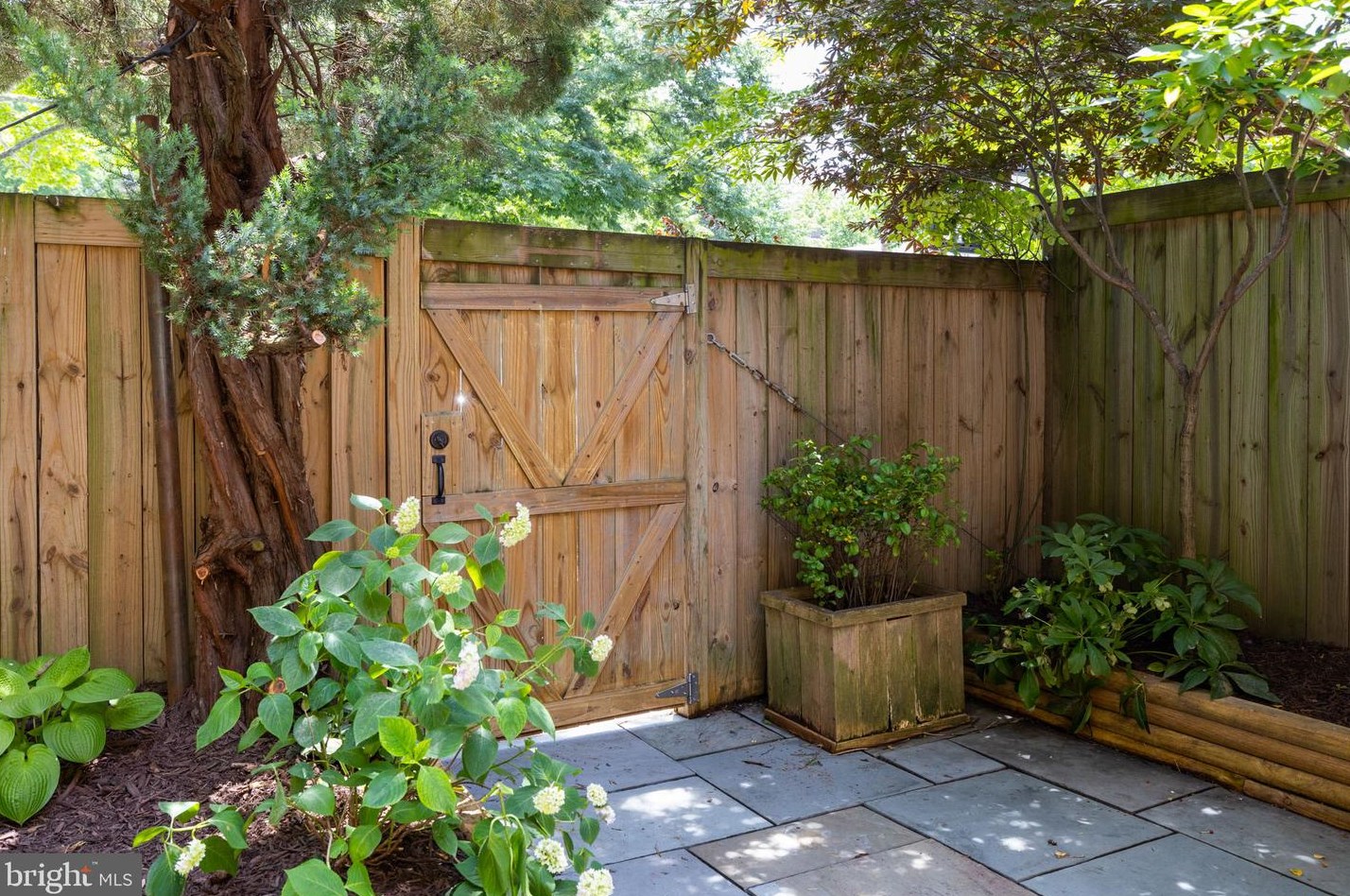 4253 Fordham Rd, Washington DC 20016-1931 exterior