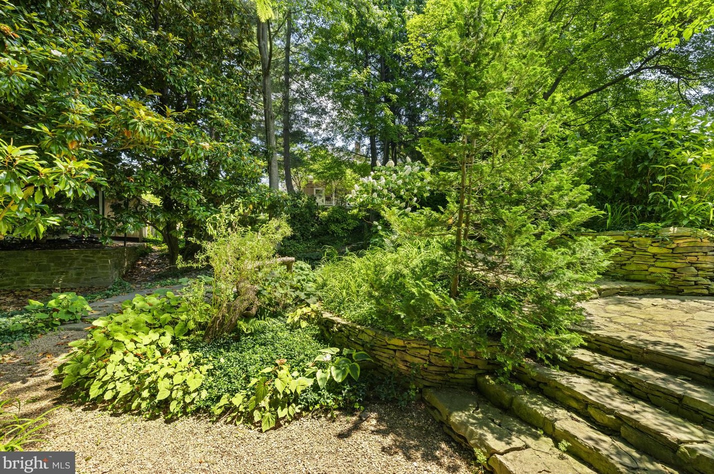 3301 Highland Pl, Washington DC  20008-3234 exterior