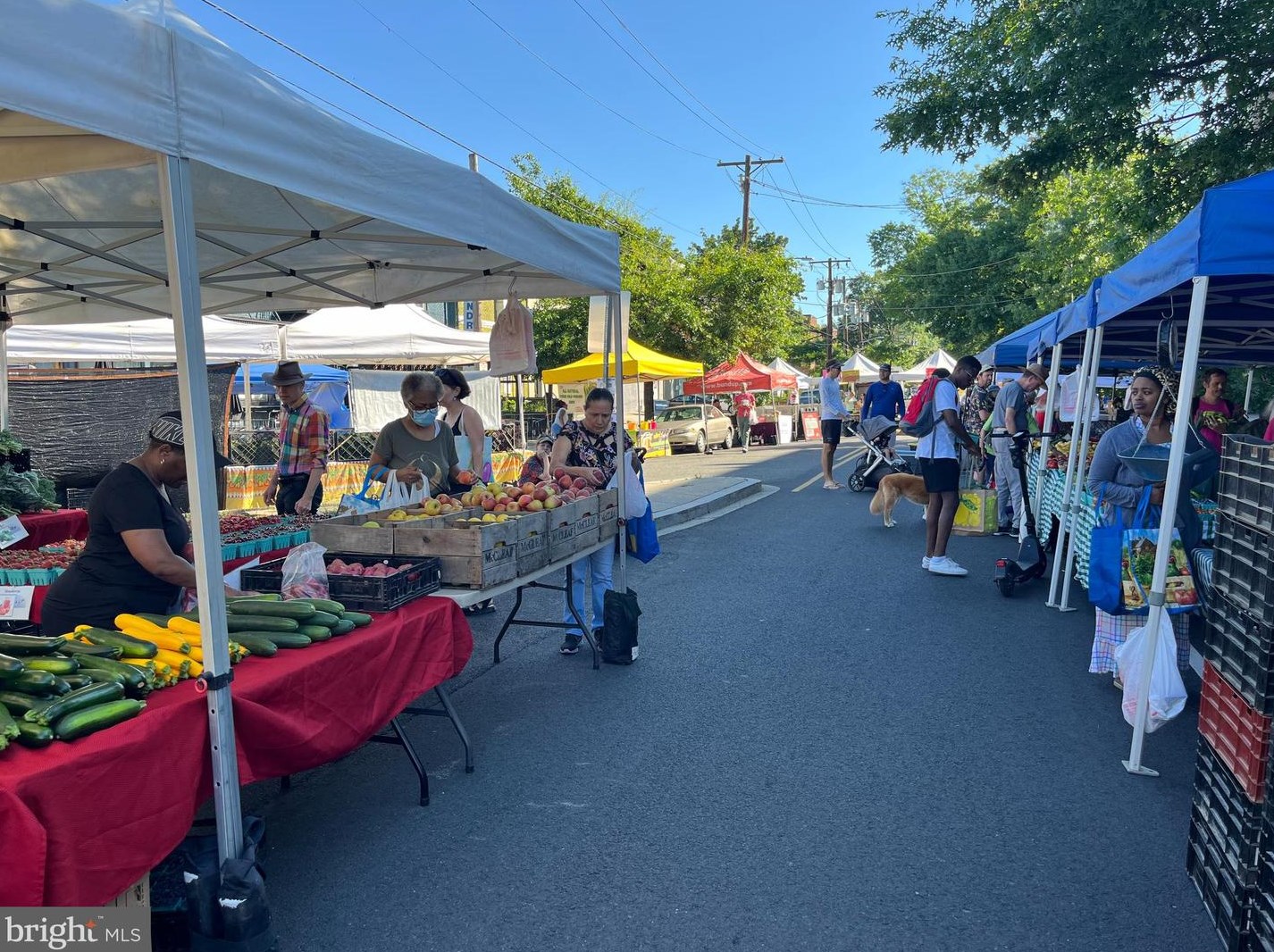 1355 Longfellow St, Washington DC  20011-7839 exterior