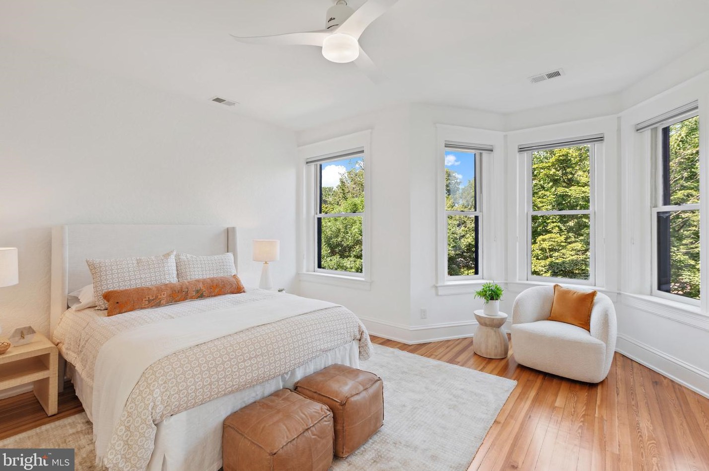 243 12th St, Washington DC  20003-1401 exterior