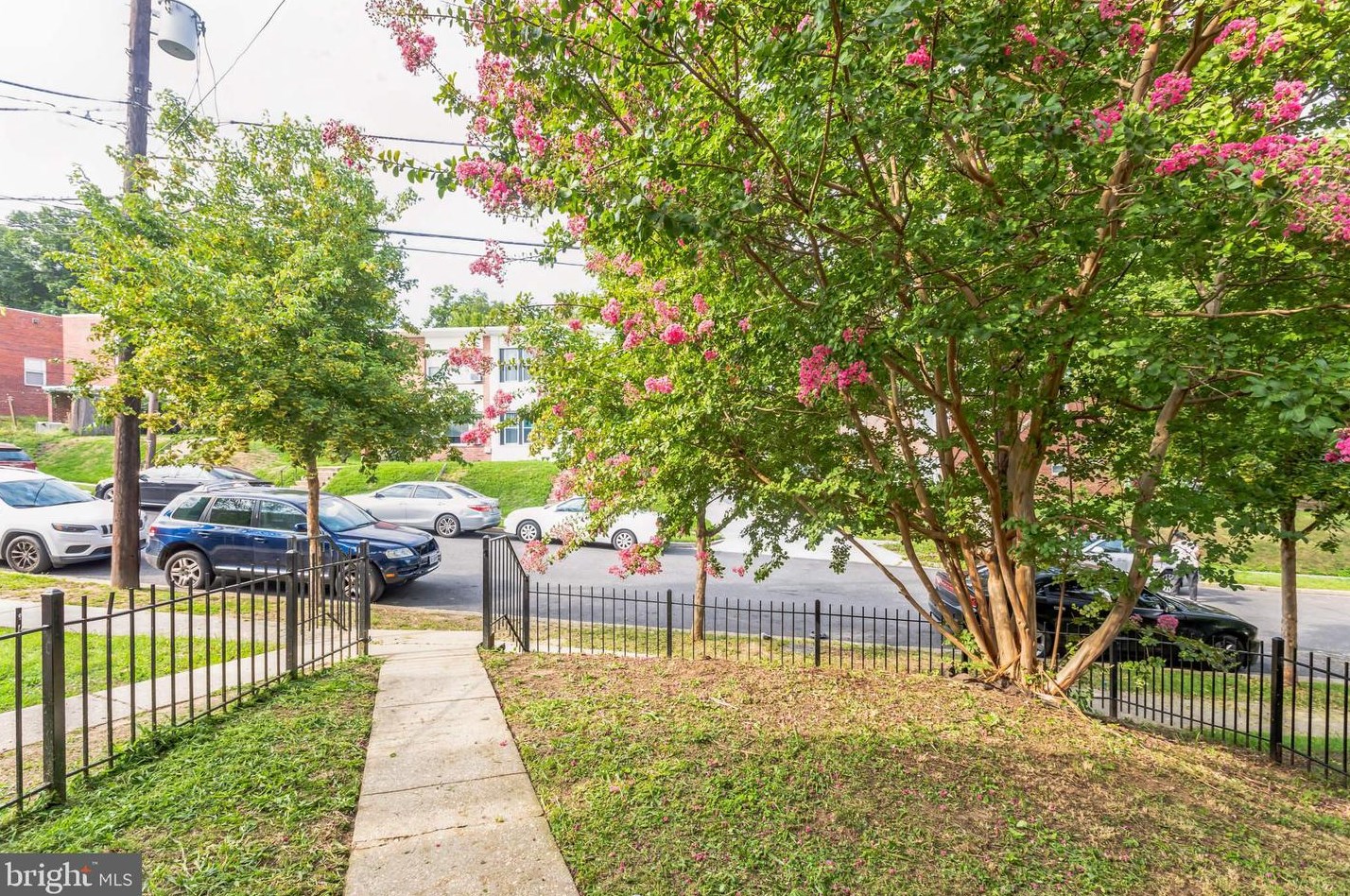 208 Webster St, Washington DC  20011-4946 exterior