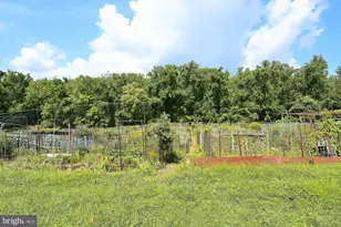 4000 Tunlaw Rd NW, Washington, DC 20007 - Photo 5