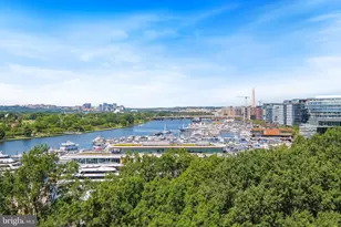 1317 4th St SW, Washington, DC 20024 - Photo 3