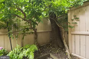 361 N St SW, Washington, DC 20024 - Photo 43