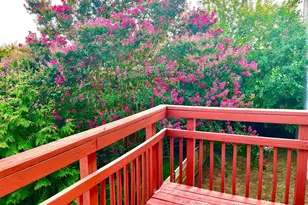 3540 Warder St NW, Washington, DC 20010 - Photo 15