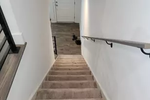 5541 South Dakota Ave NE, Washington, DC 20011 - Photo 11