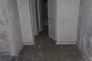 4639 Hillside Rd SE, Washington, DC 20019 - Photo 13