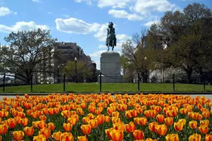 2475 Virginia Ave NW, Washington, DC 20037 - Photo 39