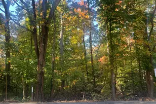 4100 W St NW, Washington, DC 20007 - Photo 27