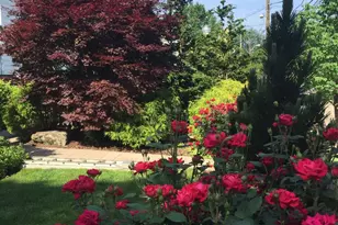 4114 Emery Pl NW, Washington, DC 20016 - Photo 65