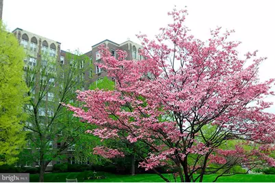 4000 Cathedral Avenue NW #208B, Washington, DC 20016 - Photo 31