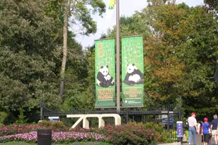 1690 Euclid St NW, Washington, DC 20009 - Photo 35